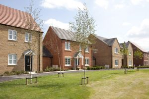 Ben Bailey Redlands Park Swaffham 6 sm.jpg